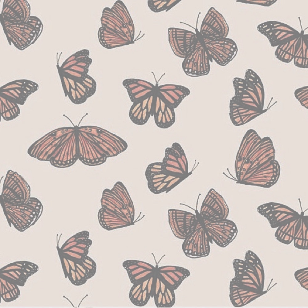 gray butterfly crewneck sweatshirt 🦋 minimalist
